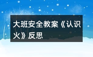 大班安全教案《認(rèn)識火》反思