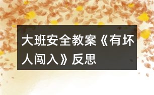 大班安全教案《有壞人闖入》反思