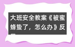 大班安全教案《被蜜蜂蟄了，怎么辦》反思