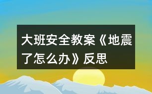 大班安全教案《地震了怎么辦》反思