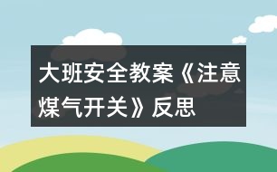 大班安全教案《注意煤氣開關(guān)》反思