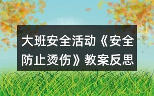 大班安全活動《安全防止燙傷》教案反思