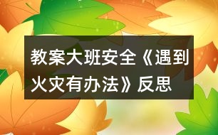 教案大班安全《遇到火災(zāi)有辦法》反思