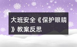 大班安全《保護眼睛》教案反思