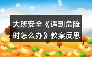 大班安全《遇到危險時怎么辦》教案反思