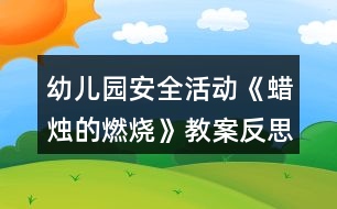 幼兒園安全活動《蠟燭的燃燒》教案反思