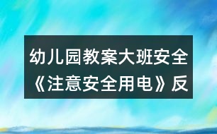 幼兒園教案大班安全《注意安全用電》反思