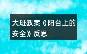 大班教案《陽(yáng)臺(tái)上的安全》反思