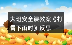 大班安全課教案《打雷下雨時(shí)》反思