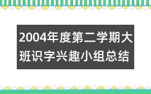 2004年度第二學期大班識字興趣小組總結(jié)