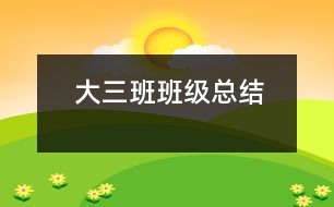 大三班班級(jí)總結(jié)