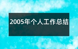 2005年個人工作總結