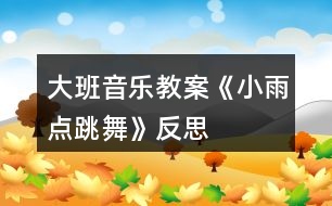 大班音樂教案《小雨點跳舞》反思