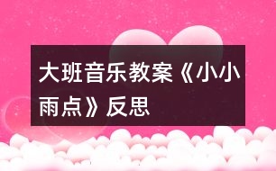 大班音樂教案《小小雨點》反思