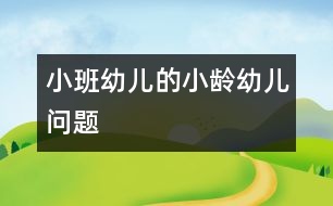 小班幼兒的小齡幼兒問題