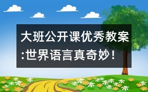 大班公開課優(yōu)秀教案:世界語言真奇妙！