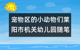 寵物區(qū)的小動物們（萊陽市機(jī)關(guān)幼兒園隨筆一組）