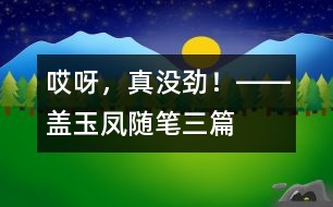 “哎呀，真沒勁！”――蓋玉鳳隨筆三篇