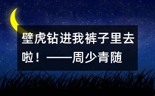 “壁虎”鉆進(jìn)我褲子里去啦！――周少青隨筆兩篇