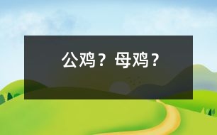 公雞？母雞？