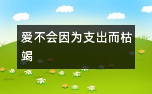 愛不會因?yàn)橹С龆萁?></p>										
													                    <P style=