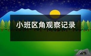 小班區(qū)角觀察記錄