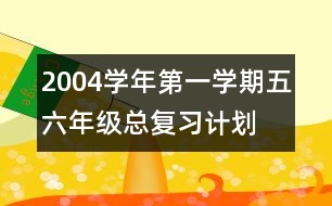 2004學年第一學期五六年級總復習計劃