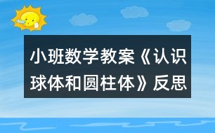 小班數(shù)學(xué)教案《認(rèn)識球體和圓柱體》反思