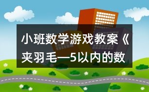 小班數(shù)學游戲教案《夾羽毛―5以內的數(shù)》反思