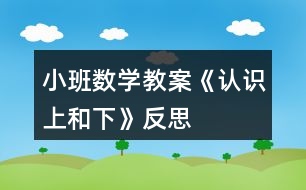 小班數(shù)學(xué)教案《認(rèn)識(shí)上和下》反思