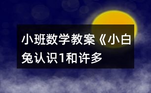 小班數(shù)學教案《小白兔認識“1”和許多》反思