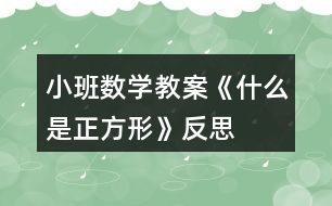 小班數(shù)學(xué)教案《什么是正方形》反思