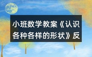 小班數(shù)學(xué)教案《認(rèn)識(shí)各種各樣的形狀》反思