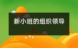 新小班的組織領(lǐng)導(dǎo)