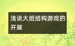 淺談大班結(jié)構(gòu)游戲的開展