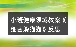 小班健康領(lǐng)域教案《細菌躲貓貓》反思