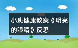 小班健康教案《明亮的眼睛》反思