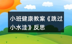 小班健康教案《跳過小水洼》反思