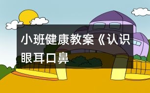 小班健康教案《認識“眼、耳、口、鼻”》反思