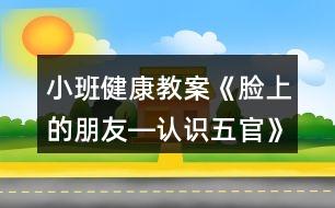 小班健康教案《臉上的朋友―認識五官》反思