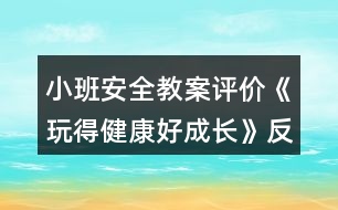 小班安全教案評價《玩得健康好成長》反思