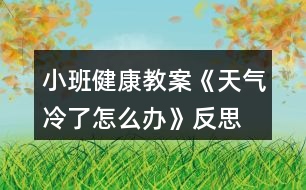 小班健康教案《天氣冷了怎么辦》反思