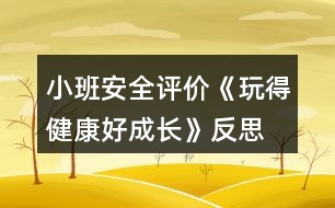 小班安全評(píng)價(jià)《玩得健康好成長(zhǎng)》反思