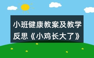 小班健康教案及教學(xué)反思《小雞長(zhǎng)大了》