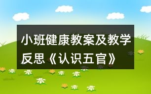 小班健康教案及教學反思《認識五官》