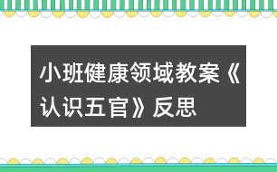 小班健康領(lǐng)域教案《認識五官》反思