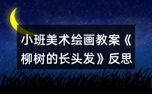 小班美術(shù)繪畫(huà)教案《柳樹(shù)的長(zhǎng)頭發(fā)》反思