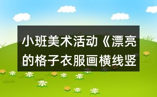 小班美術(shù)活動《漂亮的格子衣服（畫橫線豎線）》教案反思