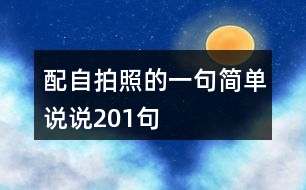 配自拍照的一句簡(jiǎn)單說(shuō)說(shuō)201句