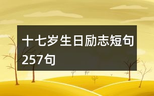 十七歲生日勵志短句257句